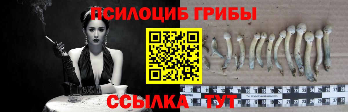 Новый Уренгой  Псилоцибиновые грибы мухоморы  Вход с VPN  что такое наркотик  Галлюциногенные грибы ЛСД 